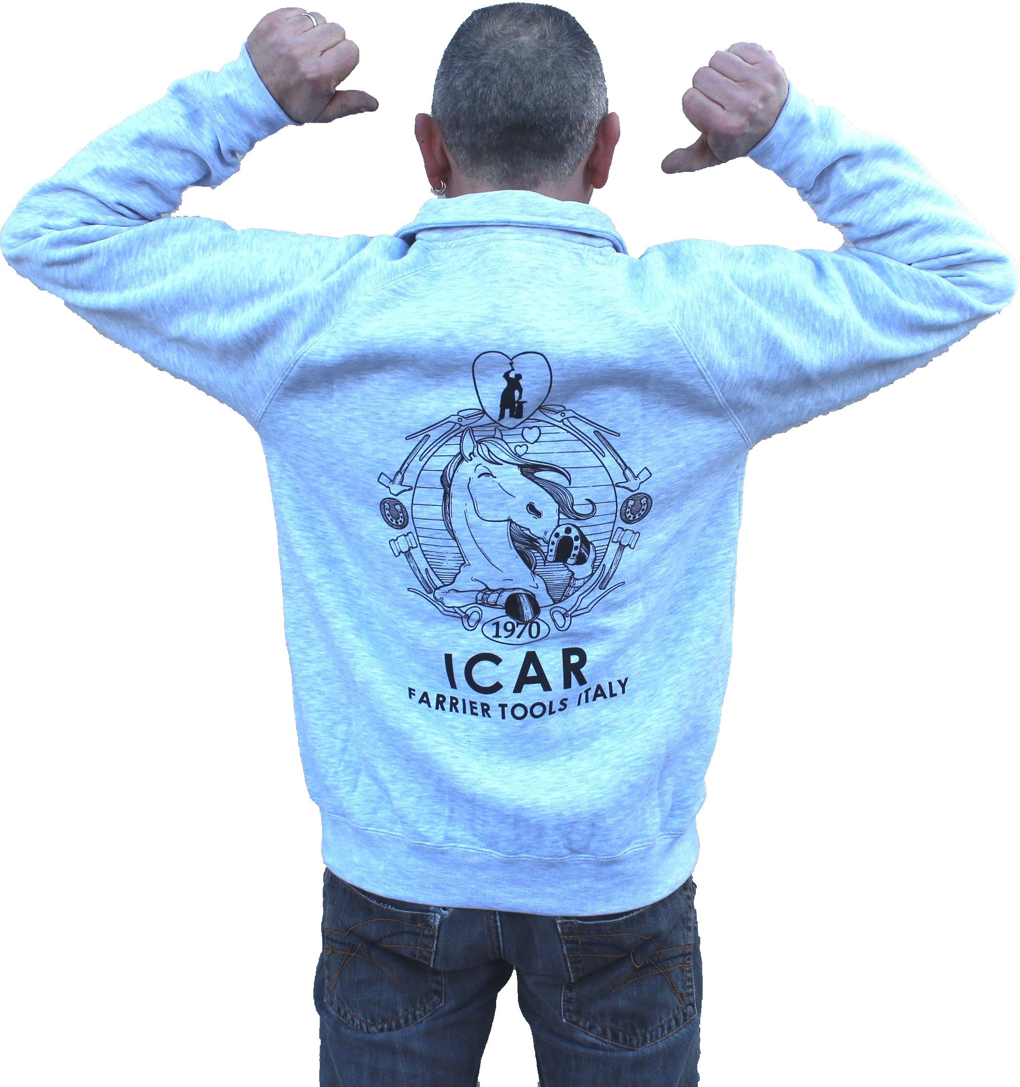 icar product image